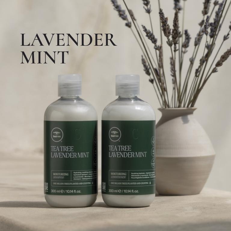 Paul Mitchell Tea Tree Lavender Mint