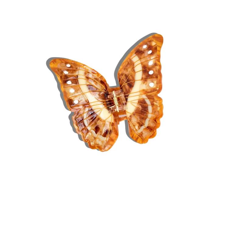 Solar Eclipse  Morpho Schmettling