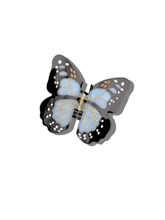 Solar Eclipse  Monarch Schmettling Baby Blue