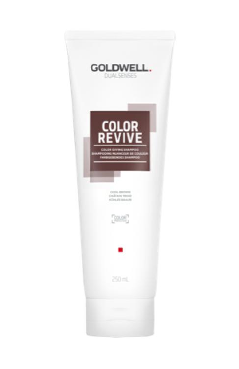 Goldwell Dualsenses Color Revive Farbgebendes Shampoo Kühles Braun