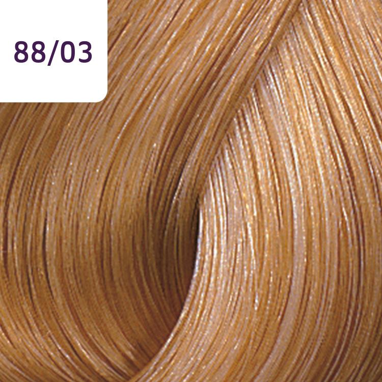 Wella Color Touch Plus 88/03 Hellblond-Intensiv Natur-Gold