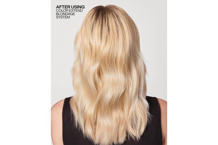 Redken Blondage Color Extend Blondage Shampoo VI Violet Pigment