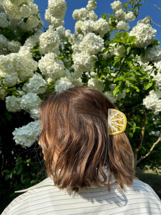 Solar Eclipse Zitrone