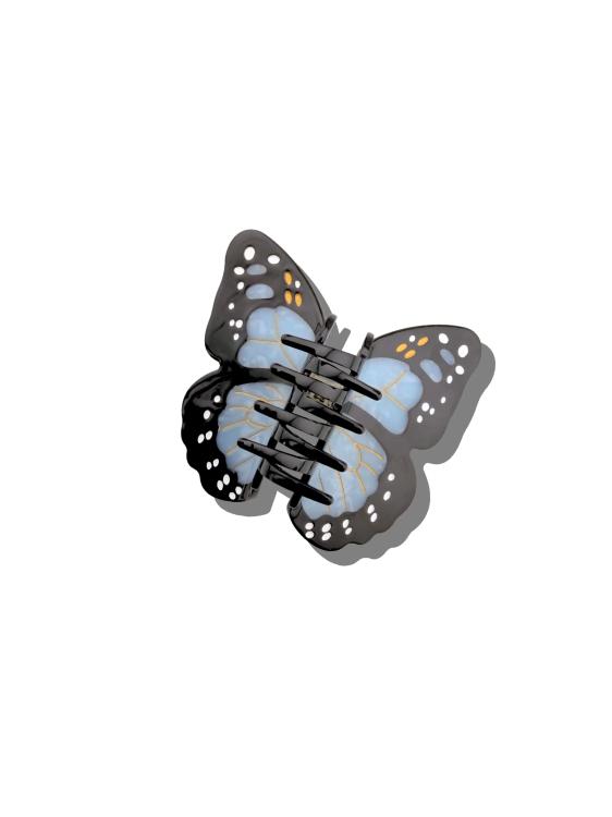 Solar Eclipse  Monarch Schmettling Baby Blue