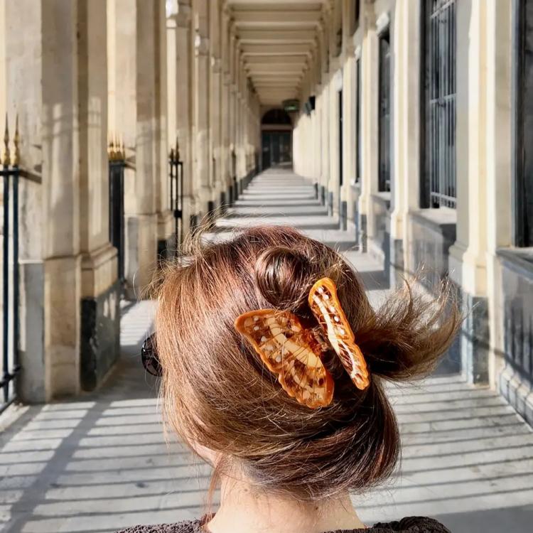 Solar Eclipse  Morpho Schmettling