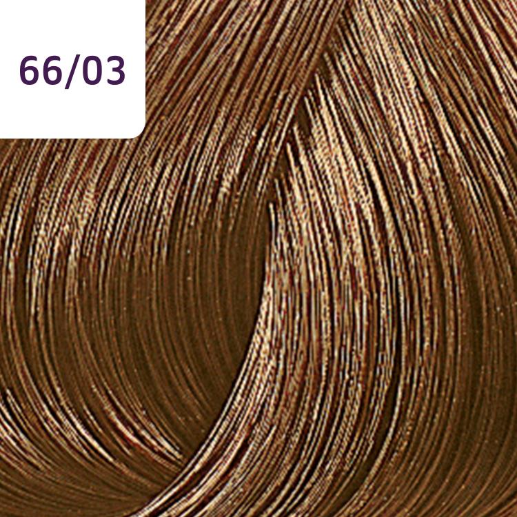 Wella Color Touch Plus 66/03 dunkelblond-int. natur-gold