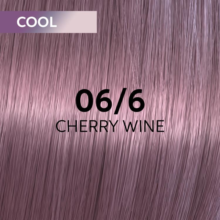 Wella Shinefinity 06/6 Dunkelblond Violett
