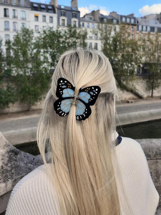 Solar Eclipse  Monarch Schmettling Baby Blue