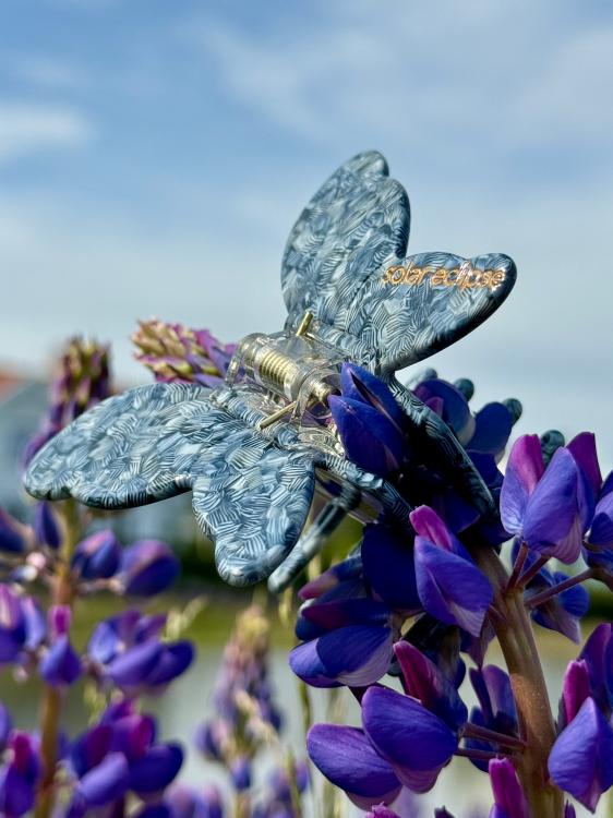 Solar Eclipse Schmetterling Blau