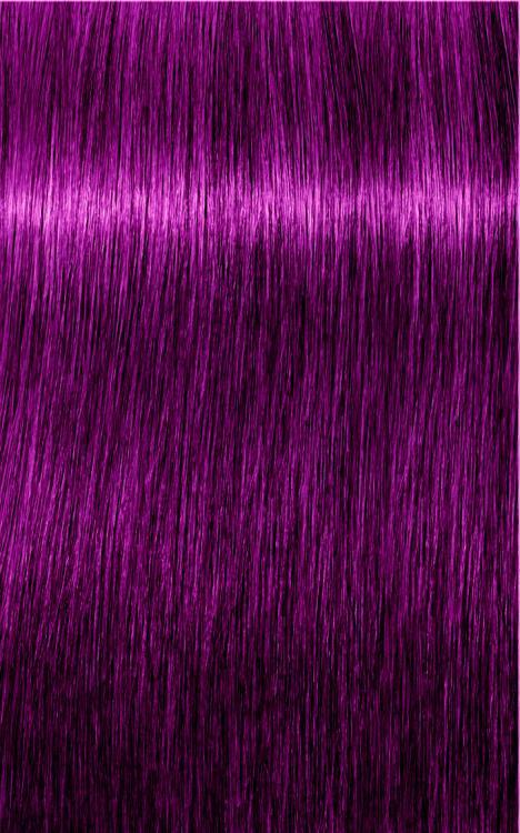 Igora Royal Color Creme 0-89 Rot Violett Konzentrat