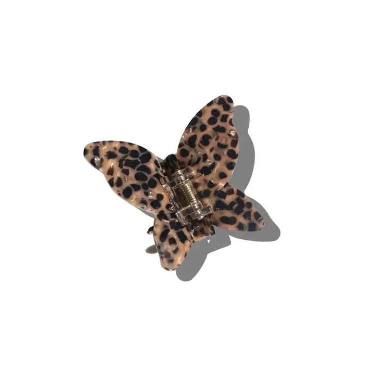 Solar Eclipse Schmetterling Leopard