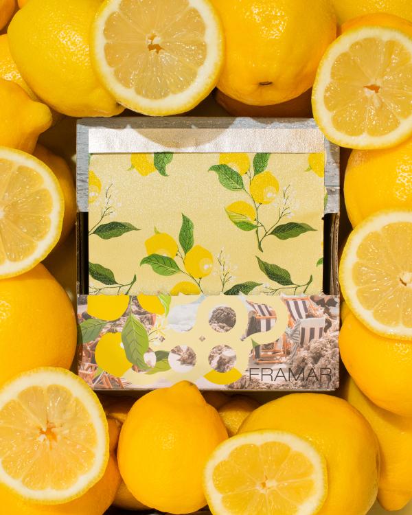 Framar Limoncelio  5 x 11 cm Pop Up Foil