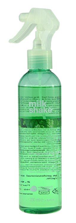 Milk Shake Sensorial Mint Invigorating Spray
