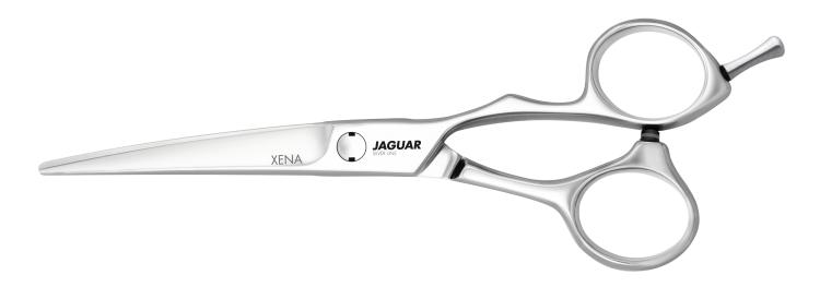 JAGUAR silver Line  XENA  6,0