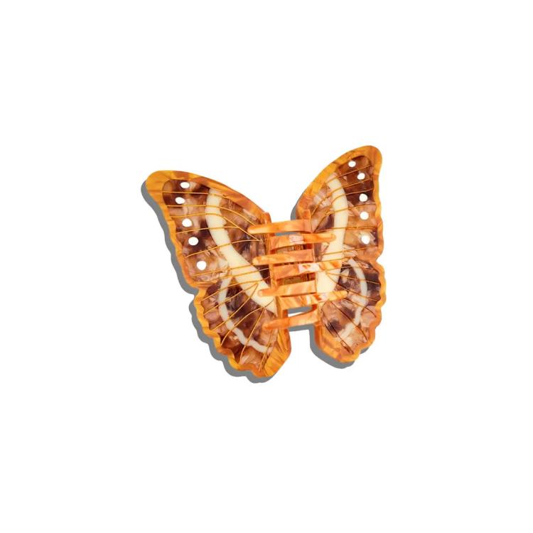 Solar Eclipse  Morpho Schmettling