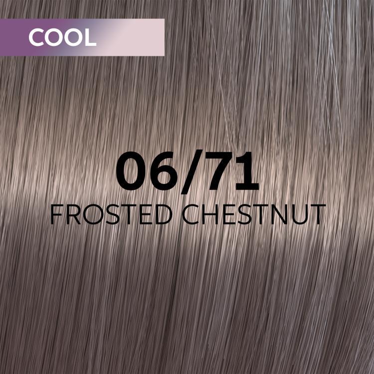 Wella Shinefinity 06/71 Dunkelblond Braun-Asch