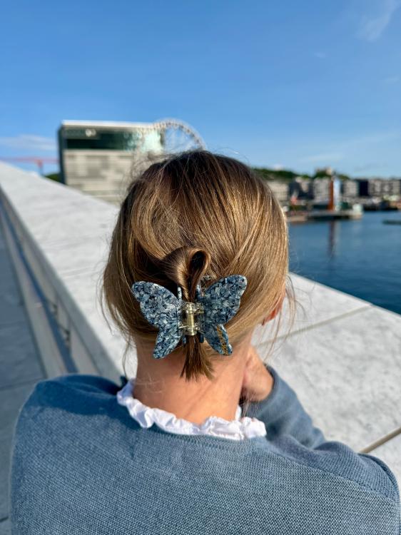 Solar Eclipse Schmetterling Blau