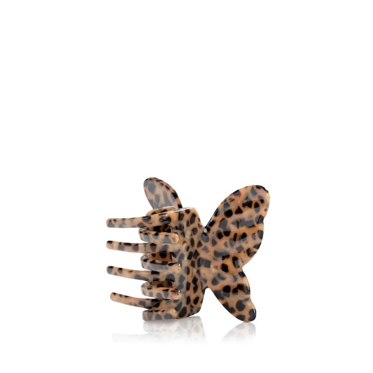 Solar Eclipse Schmetterling Leopard