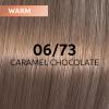 Wella Shinefinity 06/73 Dunkelblond Braun-Gold