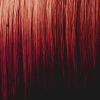 Tassel Dousse 5.55 Intense Light Red Chestnut