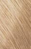 Goldwell Topchic Permanent Hair Color 10GB sahara pastel beige blonde 