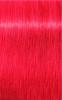 Igora Royal Color Creme 0-88 Rot Konzentrat