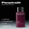 Sebastian Penetraitt Shampoo