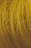 Goldwell Elumen Longlasting Hair Color Pure Yellow YY@all