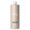 Paul Mitchell Original Classic Shampoo One