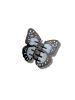 Solar Eclipse  Monarch Schmettling Baby Blue