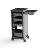 Eurostil Arbeitswagen Trolley Rodium