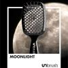 UNbrush Detangling Hair Brush Moonlight
