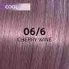 Wella Shinefinity 06/6 Dunkelblond Violett