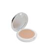Artdeco All in One Cream Foundation 10 cashmere