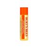 Burts Bees Lip Balm Sweet Mandarine