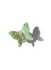 Solar Eclipse Schmetterling Golden Grün