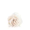 Solar Eclipse Rosen Haarklammer Satin creme