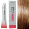 Tassel Bright Colour 8.01 Kühles Hellblond
