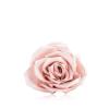 Solar Eclipse Rosen Haarklammer Satin rosa