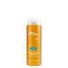 Paul Mitchell Sun Revitalizing Shampoo