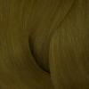 Redken Color Gels Lacquers 5GB Truffle 5.31
