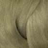 Redken Color Gels Lacquers 8AB Stardust