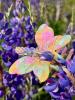 Solar Eclipse Schmetterling Wildblume