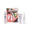 Goldwell Dualsenses Bond Pro Travel Set