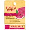 Burts Bees Watermelon Lip Balm Stick