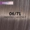 Wella Shinefinity 06/71 Dunkelblond Braun-Asch