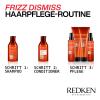 Redken Frizz Dismiss Shampoo 1% Smoothing Complex