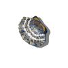 Solar Eclipse Muschel Austern Blue