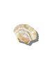 Solar Eclipse Muschel Golden Sand